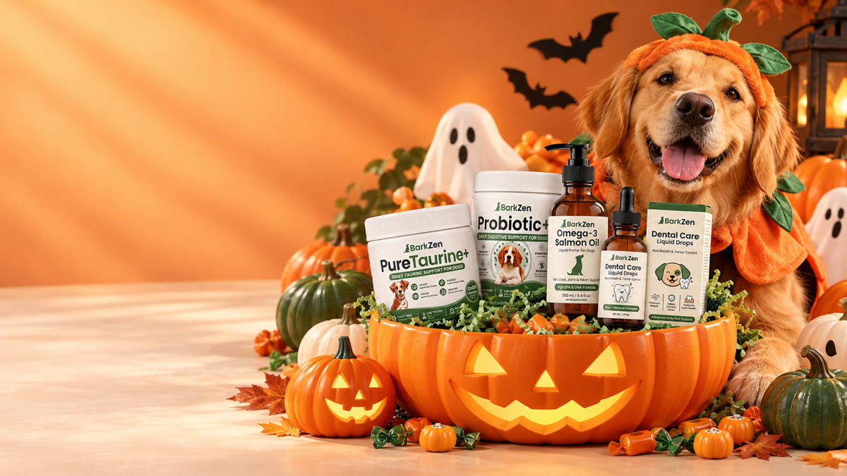 Halloween Sale: Up To 65% OFF + Free Limited-Time Gifts