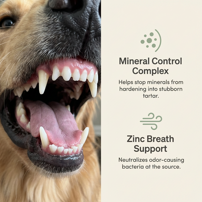 Dental Care Liquid Drops
