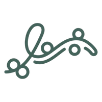 PHGG Prebiotic Fiber