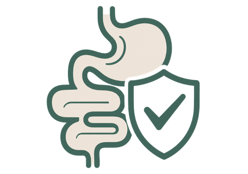 3. Promotes Gut Balance