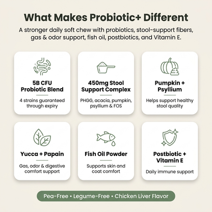 Probiotic+ Soft Chews
