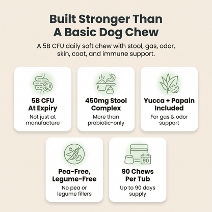 Probiotic+ Soft Chews