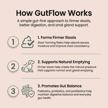 GutFlow